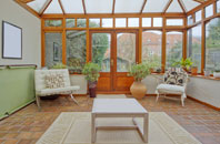free Kingsley Moor conservatory quotes